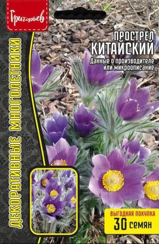 Прострел (сон-трава, пульсатилла)_Китайский б/ф_30_шт._Григорьев