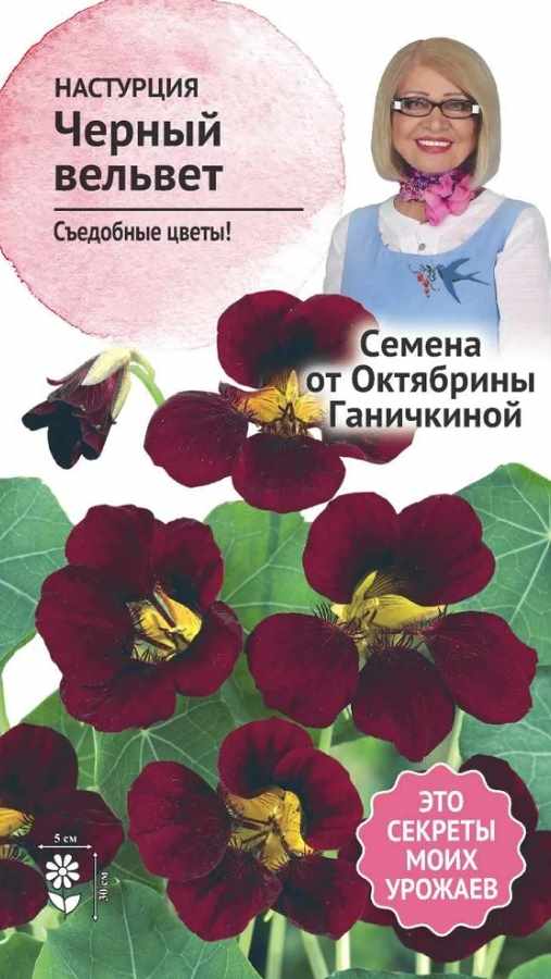 Настурция_Черный Вельвет_0,04_г._АгроСидсТрейд
