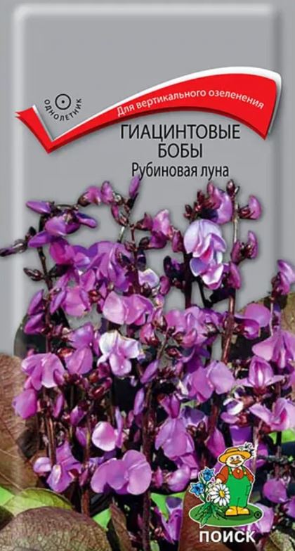 Бобы_Гиацинтовые (долихос) Рубиновая Луна_0,04_г._Поиск
