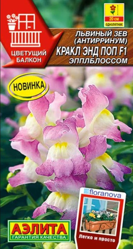 Львиный зев (антирринум)_Кракл энд Поп F1 Эпплблоссом_7_шт._Аэлита