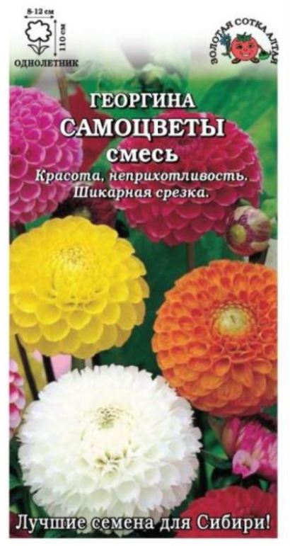 Георгин_Шаровидная см Самоцветы_0,04_г._Золотая Сотка Алтая