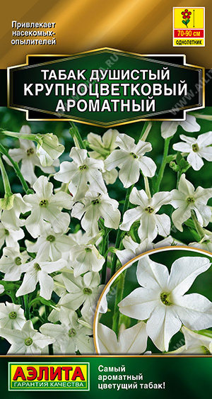 Табак душистый_Белый Ароматный (Золотая серия)_0,1_г._Аэлита