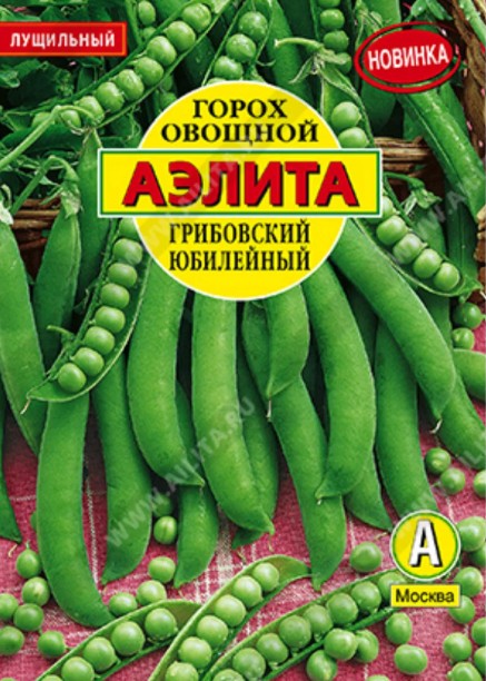 Горох_Грибовский Юбилейный б/ф_25_г._Аэлита