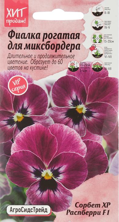 Фиалка_Сорбет XP Распберри F1 (рогатая)_0,04_шт._АгроСидсТрейд