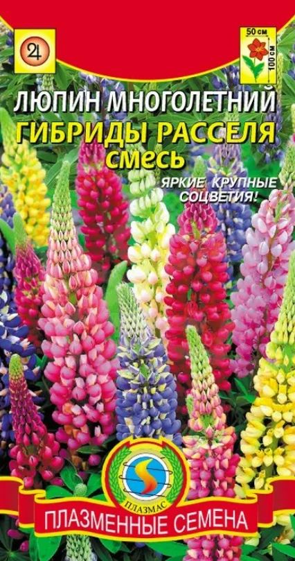 Люпин_Рассела см_0,04_г._Плазменные семена