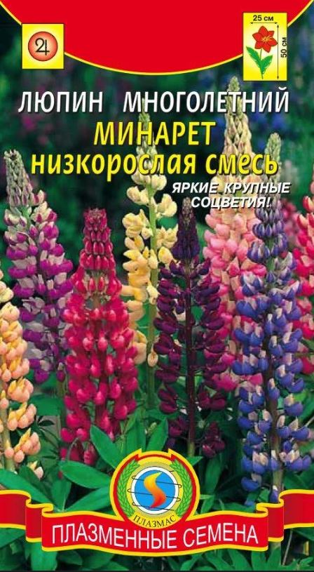 Люпин_Минарет см (низкорослая)_0,04_г._Плазменные семена