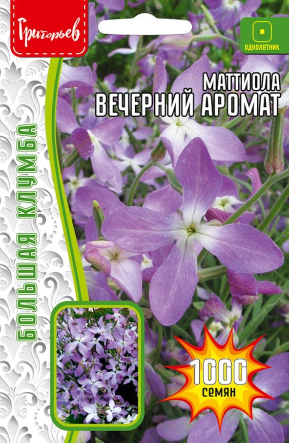 Маттиола_Вечерний аромат б/ф_1000_шт._Григорьев