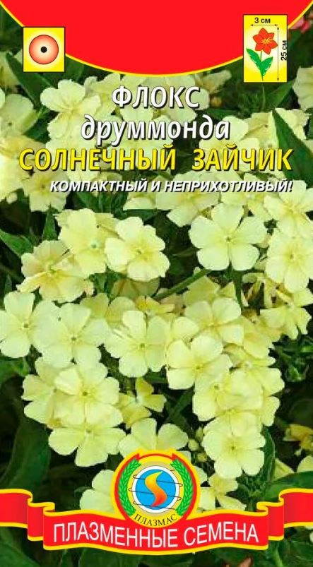 Флокс_Солнечный Зайчик_0,04_г._Плазменные семена