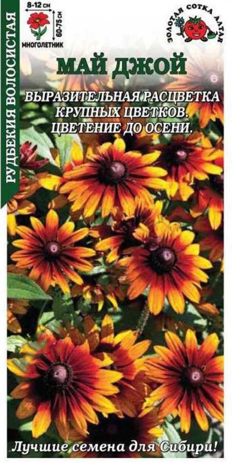 Рудбекия_Май Джой_0,2_г._Золотая Сотка Алтая