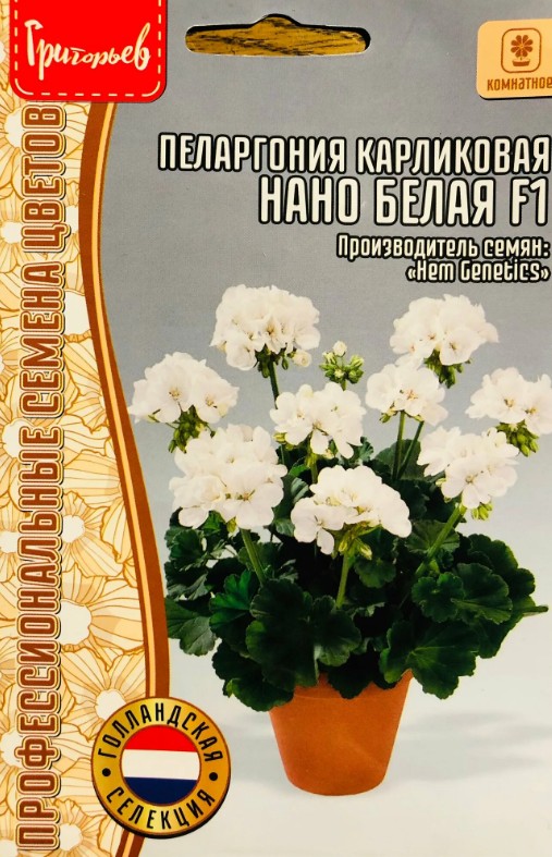 Герань (Пеларгония)_Нано F1 Белая (карликовая) б/ф_3_шт._Григорьев