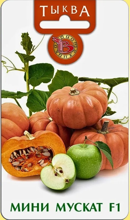 Тыква_Мини Мускат_5_шт._Биотехника