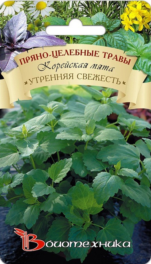 Мята_корейская Утренняя свежесть_0,1_г._Биотехника