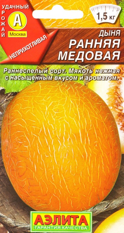 Дыня_Раняя Медовая_1_г._Аэлита
