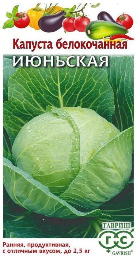 Капуста_б/к_Июньская (ран)  Б/П_0,5_г._Гавриш