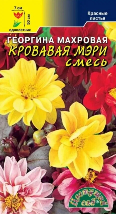 Георгин_Кровавая Мэри_0,2_г._Цветущий Сад