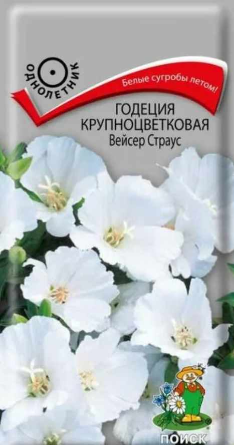 Годеция_Вейсер Страус_0,04_г._Поиск