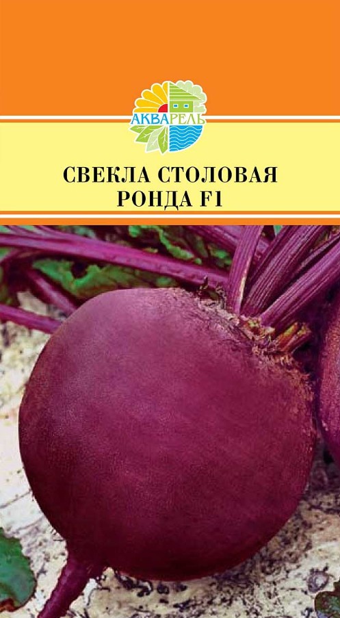 Свекла_Ронда F1_0,5_г._Акварель