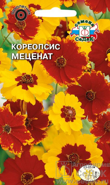 Кореопсис_Меценат см (низкорослый)_0,3_г._Седек