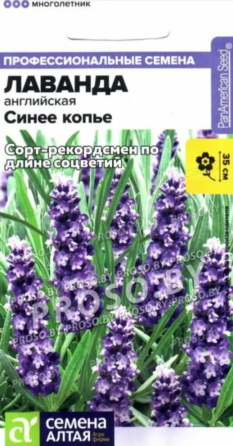 Лаванда_Синее Копьё (узколистная) (проф)_0,04_шт._Семена Алтая