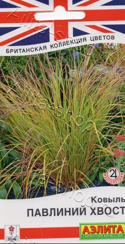 Ковыль_Павлиний Хвост (злак) (Британская Коллекция)_5_шт._Аэлита