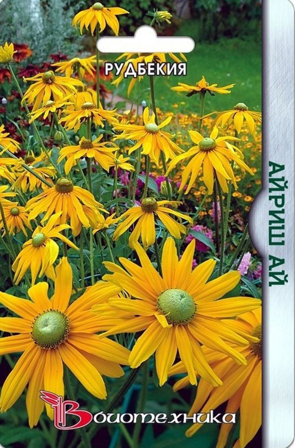 Рудбекия_Айриш Ай_20_шт._Биотехника