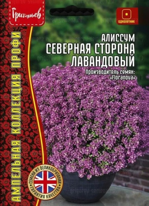 Алиссум (лобулярия)_Северная Сторона Лавандовый (амп) б/ф_10_шт._Григорьев