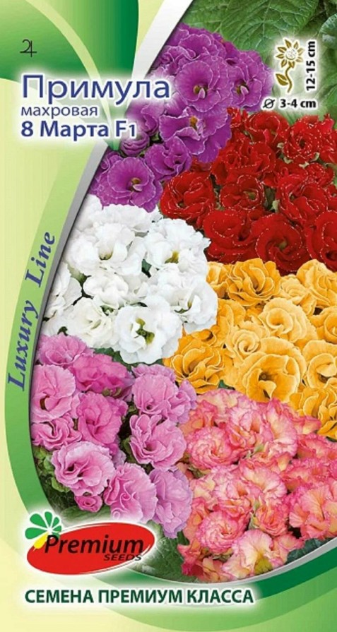 Примула_махр 8 Марта см F1_5_шт._Премиум Сидс