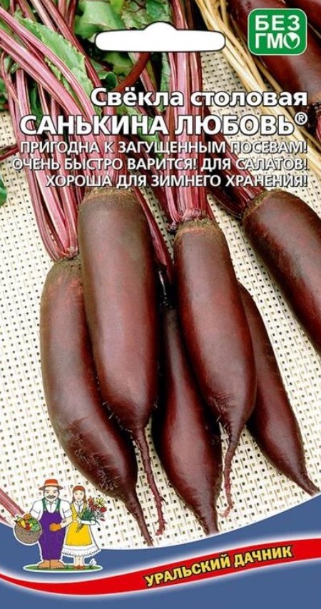 Свекла_Санькина Любовь_2_г._Уральский Дачник