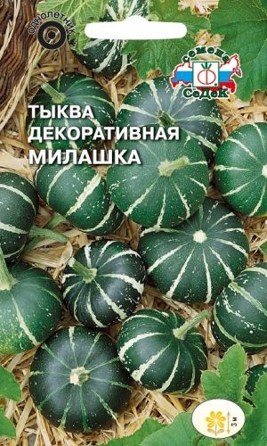 Тыква декоративная_Милашка_0,3_г._Седек