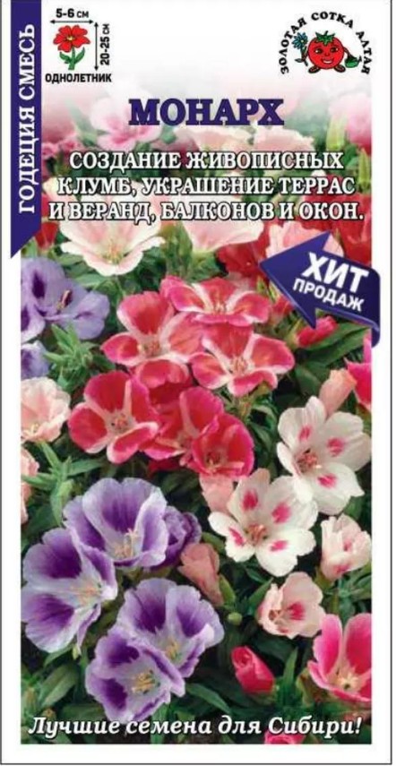 Годеция_Монарх см_0,2_г._Золотая Сотка Алтая