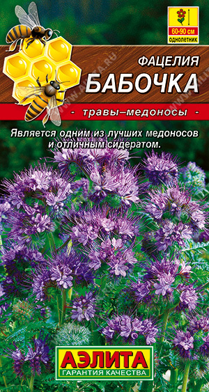 Фацелия_Бабочка_2_г._Аэлита