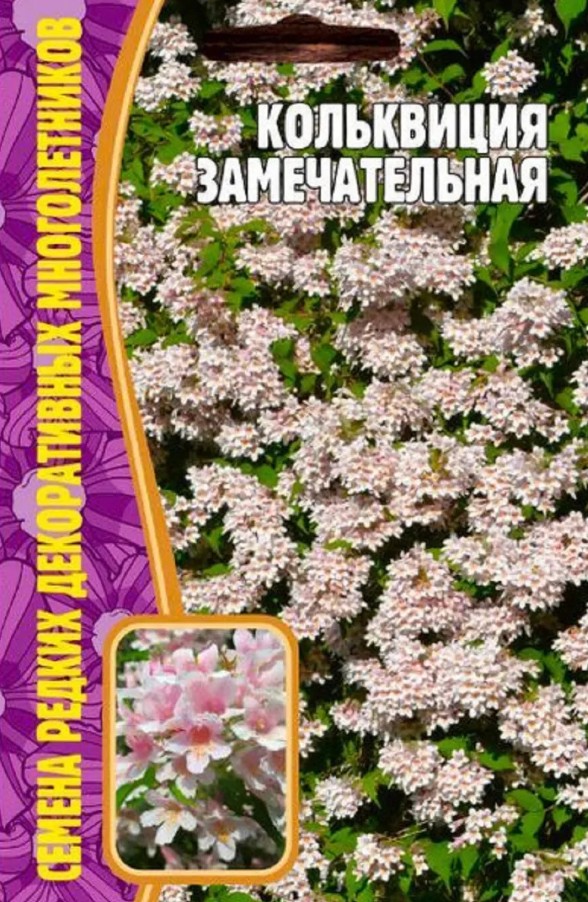 Кольквиция_Замечательная б/ф_4_шт._Григорьев