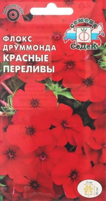 Флокс_Красные переливы (друммонда, низкорослый, ярко-красный)_0,04_г._Седек