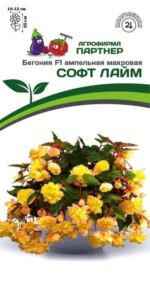 Бегония_Софт Лайм F1 (амп махр клубн)_5_шт._Партнер
