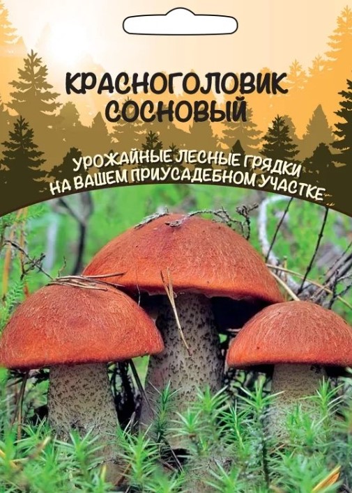 Мицелий_Красноголовик Сосновый б/ф_30_мл._Уральский Дачник
