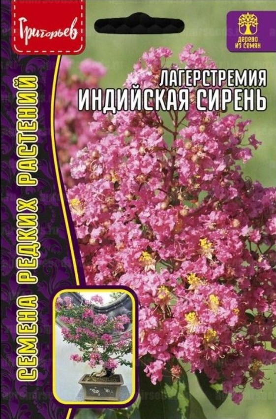 Лагерстремия_Индийская сирень б/ф_10_шт._Григорьев