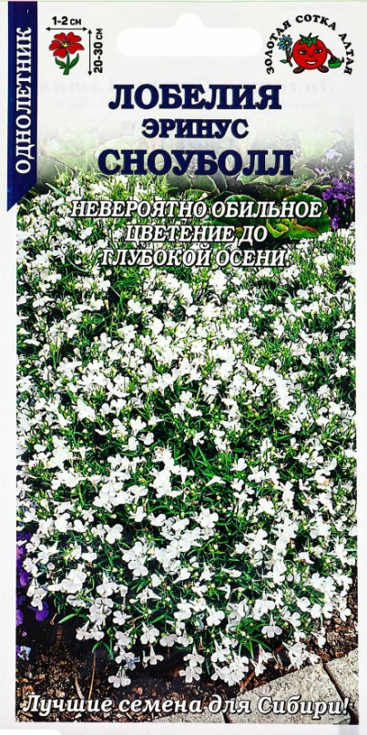 Лобелия_Сноуболл_0,05_г._Золотая Сотка Алтая