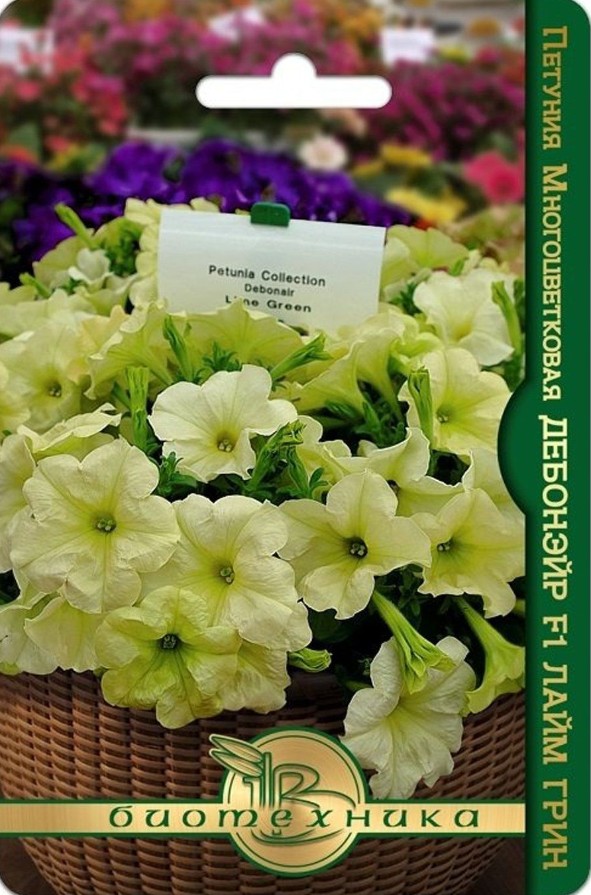 Петуния_Дебонэйр F1 Лайм Грин (многоцветковая)_6_шт._Биотехника