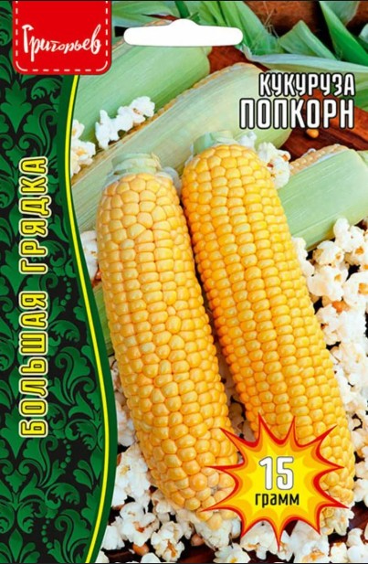 Кукуруза_Попкорн б/ф_15_г._Григорьев