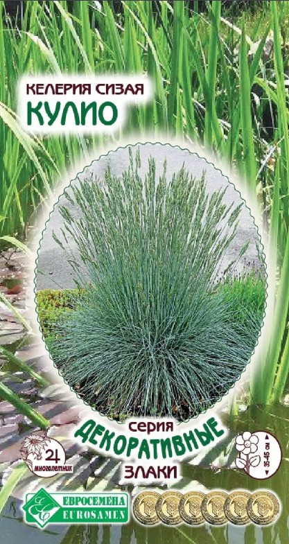 Келерия_Кулио Сизая (Декоративные Злаки)_0,1_г._ЕВРОСЕМЕНА