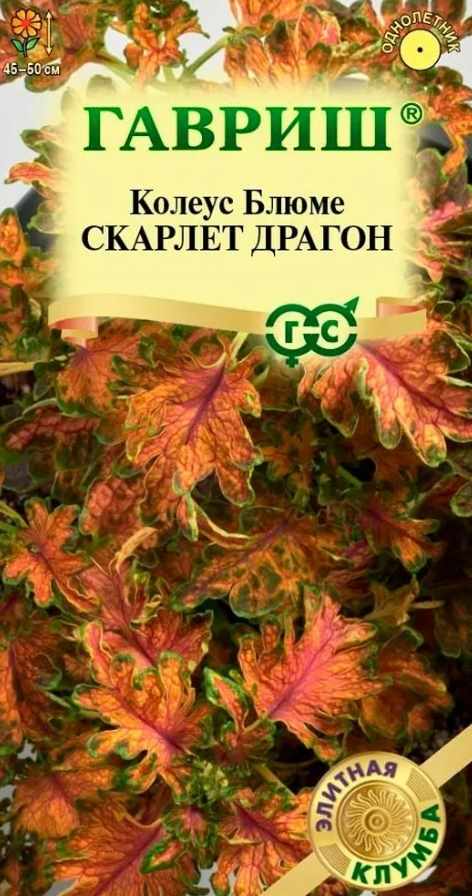 Колеус_Скарлет Драгон_0,04_шт._Гавриш