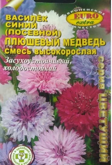 Василек_Плюшевый медведь, высок см_0,2_г._Аэлита Э