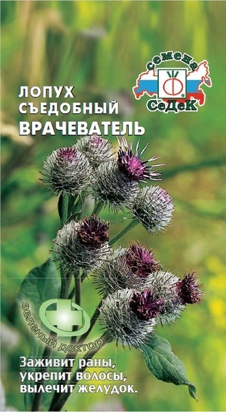 Лопух_Врачеватель_0,2_г._Седек
