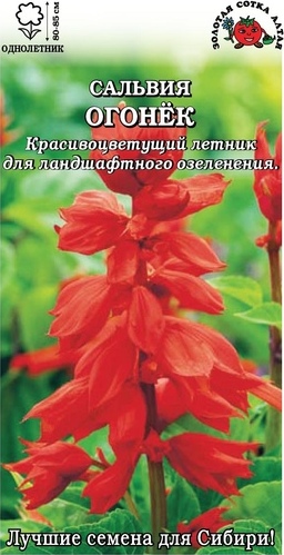 Сальвия_Огонек_0,1_г._Золотая Сотка Алтая
