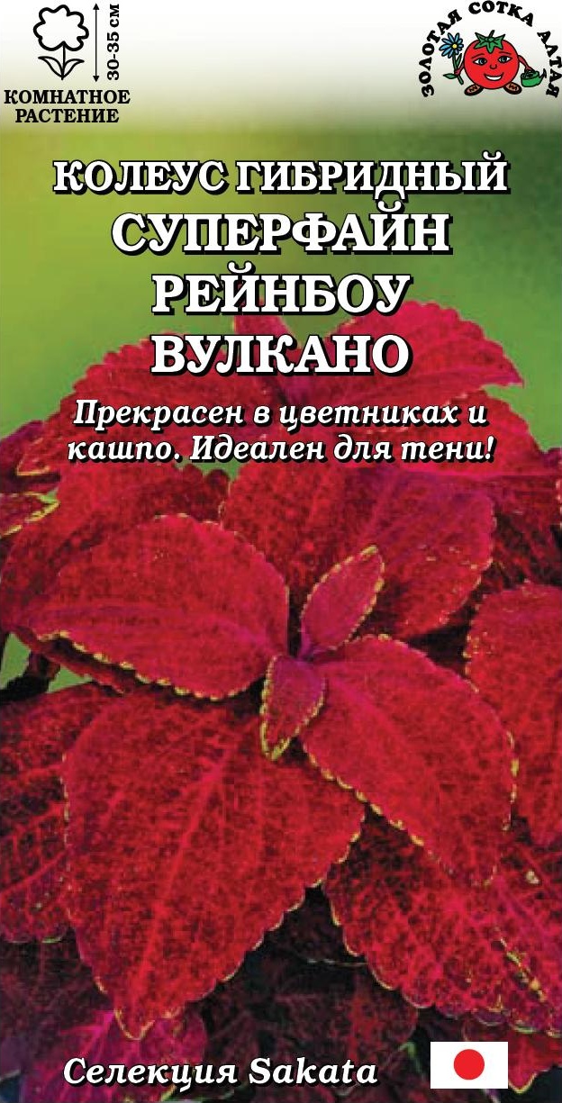 Колеус_Суперфайн Рейнбоу Вулкано_10_шт._Золотая Сотка Алтая