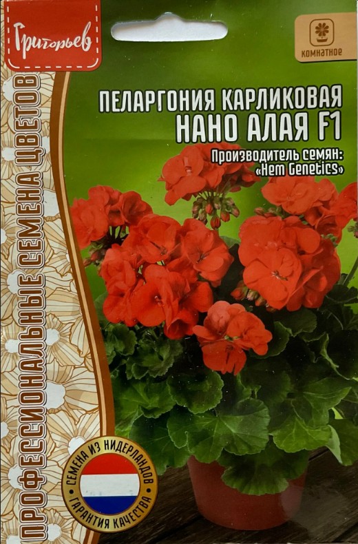 Герань (Пеларгония)_Нано F1 Алая (карликовая ) б/ф_3_шт._Григорьев