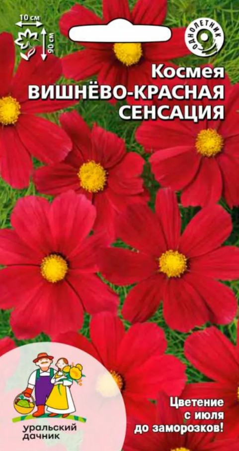 Космея_Вишнёво-Красная_0,15_г._Уральский Дачник