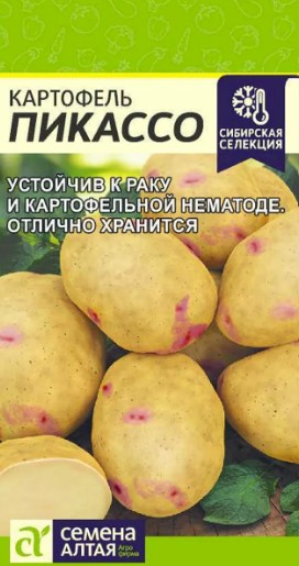 Картофель_Пикассо_0,02_г._Семена Алтая