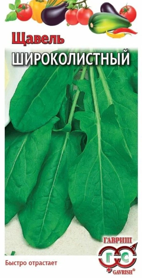 Щавель_Широколистный  Б/П_0,5_г._Гавриш