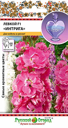 Левкой (маттиола)_Интрига F1 высокорослая см_30_шт._НК